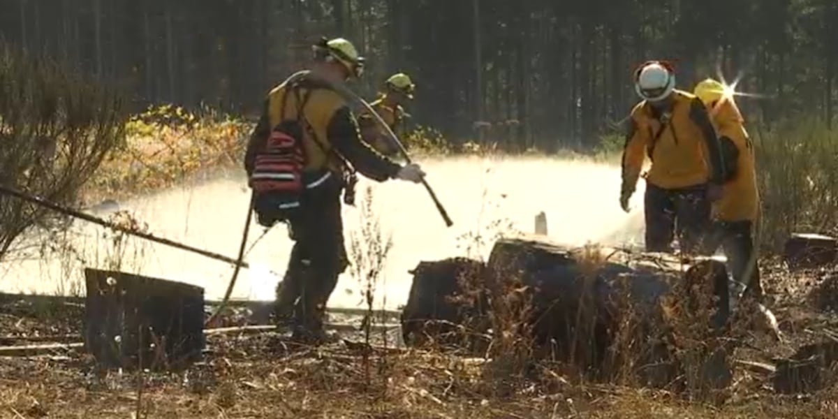 4 acre fire in Forest Grove under control [Video]