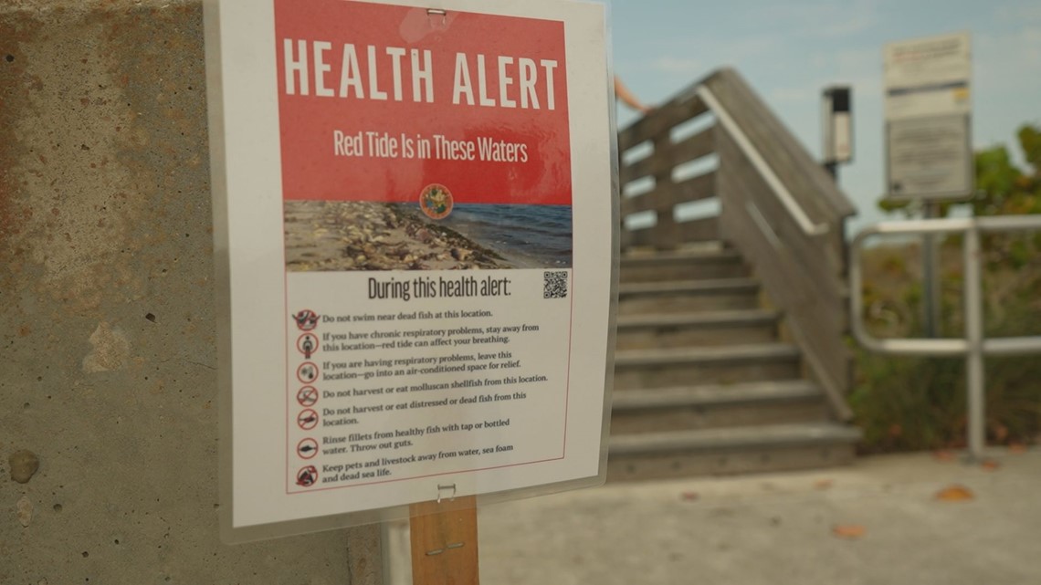 Red tide found in Pinellas County waters [Video]