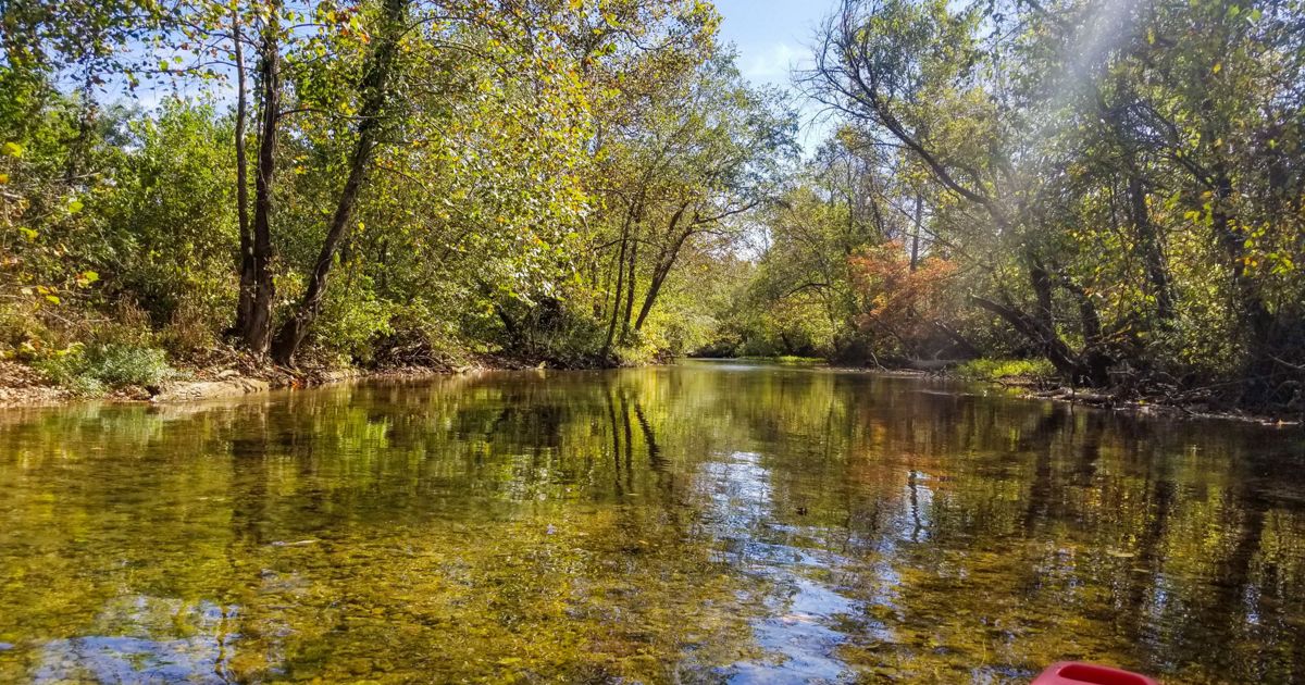 Protecting and Restoring Missouri’s Rivers [Video]