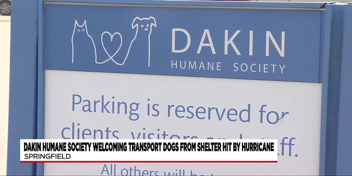 Dakin Humane Society welcomes transport dogs from shelter hit by Hurricane Helene [Video]