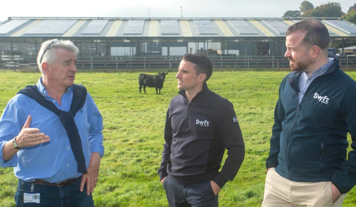 WATCH: Ryanair boss goes green on his Midlands farm with major investment in solar panels [Video]