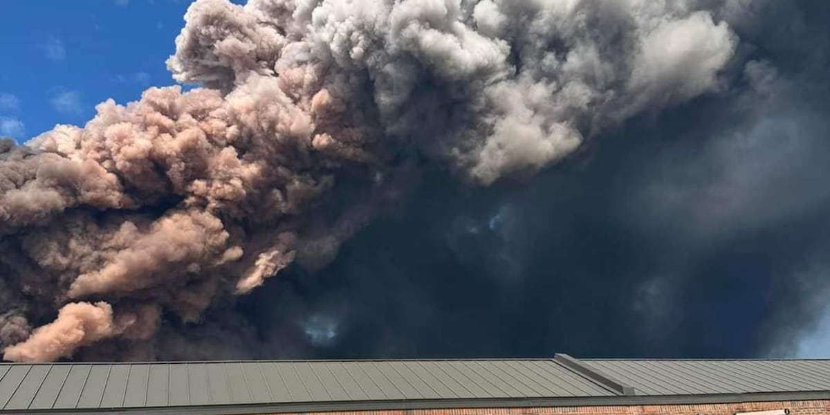 Rockdale County businesses still taking hit from BioLab fire, chemical plume [Video]