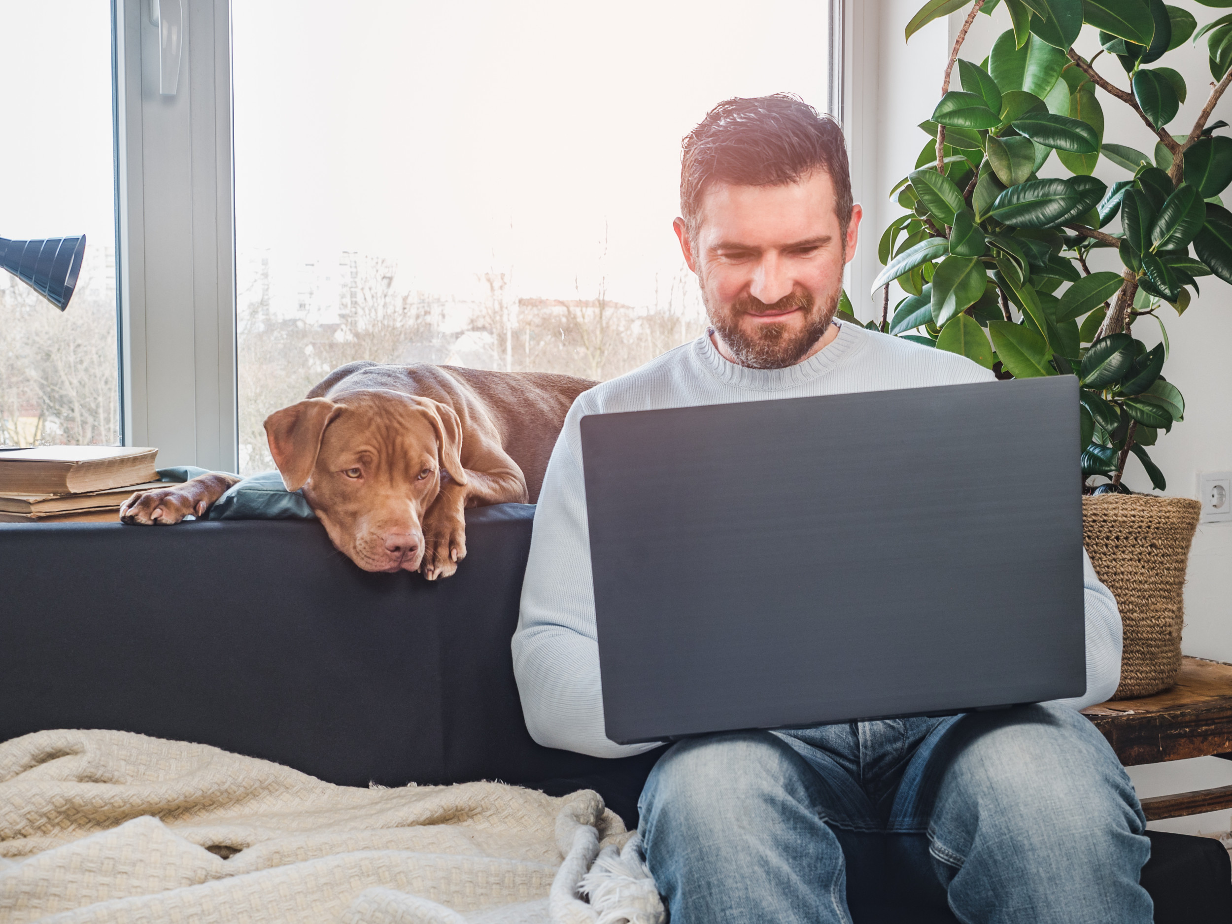 Dog Joins Work Zoom Call, Outrage At What Happens Next [Video]