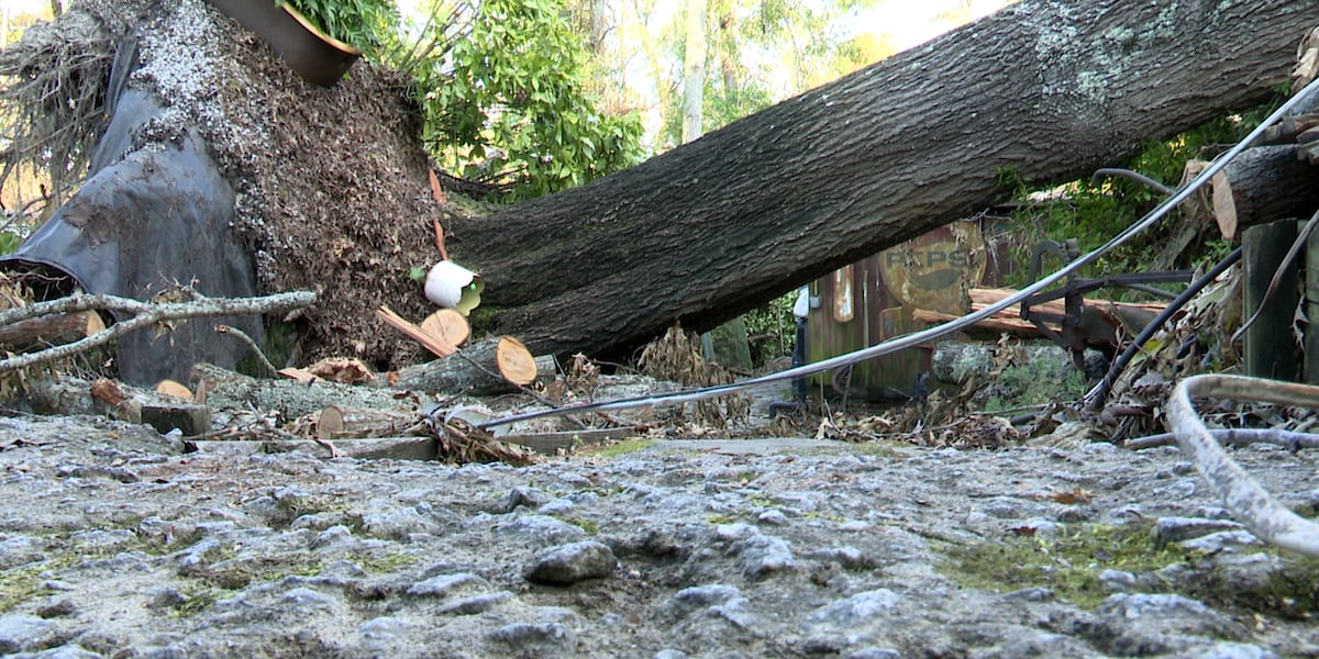 Familys 37-year-old farm and livelihood destroyed by Helene [Video]