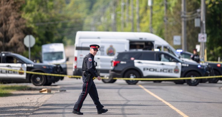 This must stop: Hamilton a city on edge as gun violence hits record high [Video]