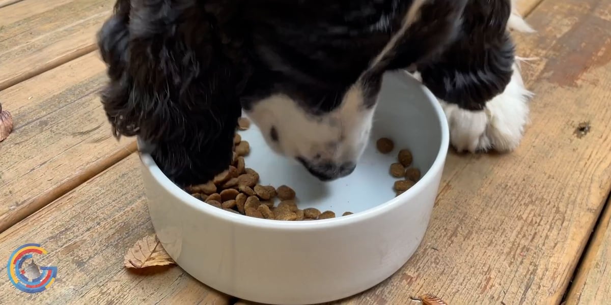 Dog food on the docket at the Supreme Court [Video]