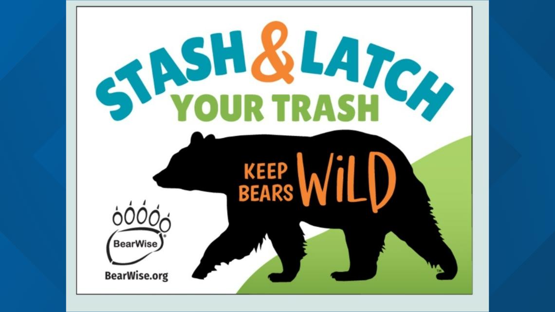 TWRA providing grants to integrate bear-resistant containers [Video]