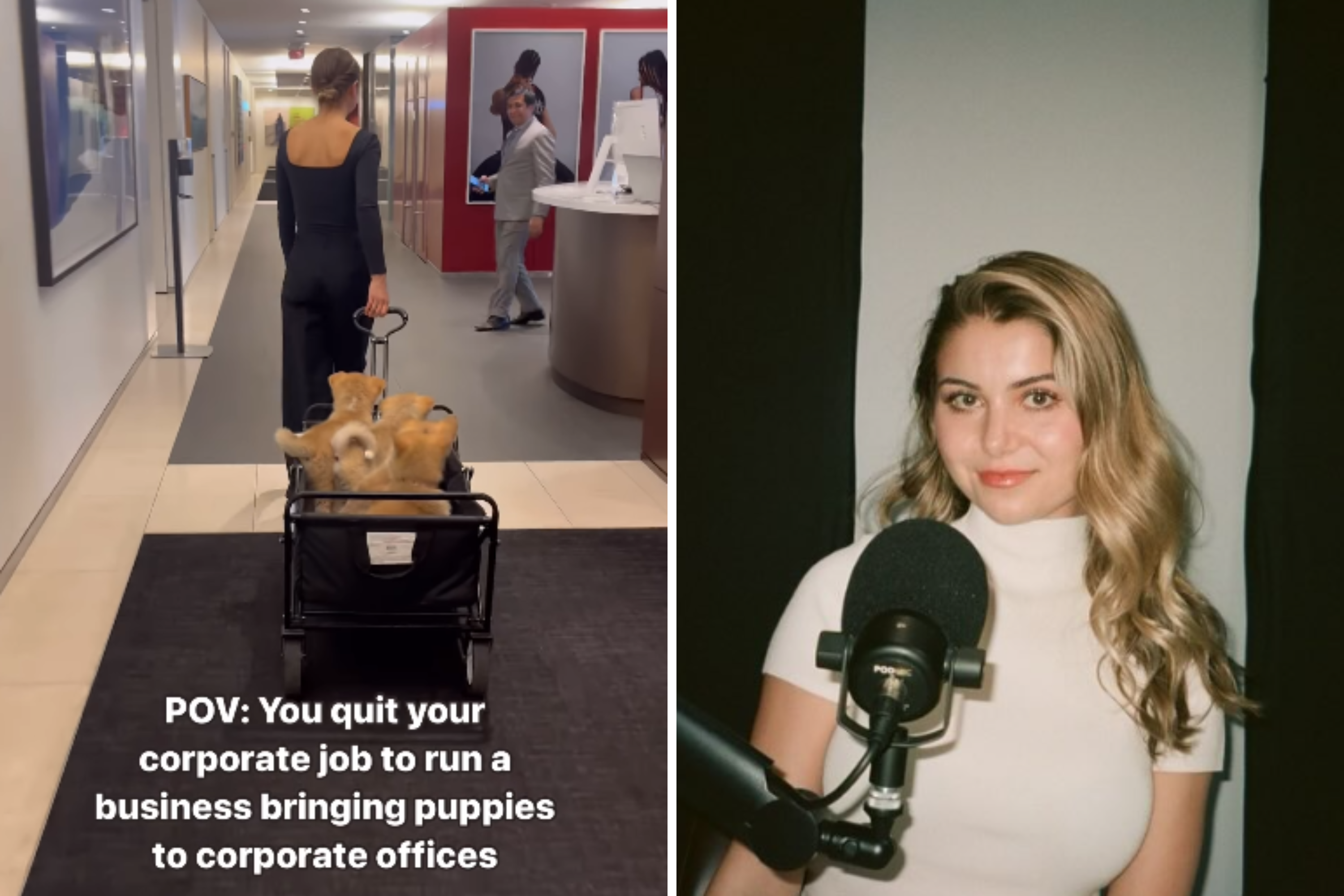 Gen Z Woman Quits Corporate Career, Now Takes Puppies Into People’s Offices [Video]