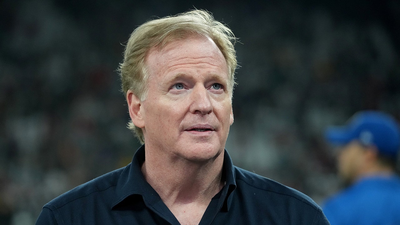 NFL commissioner Roger Goodell says international Super Bowl could one day happen: It wouldnt surprise me [Video]