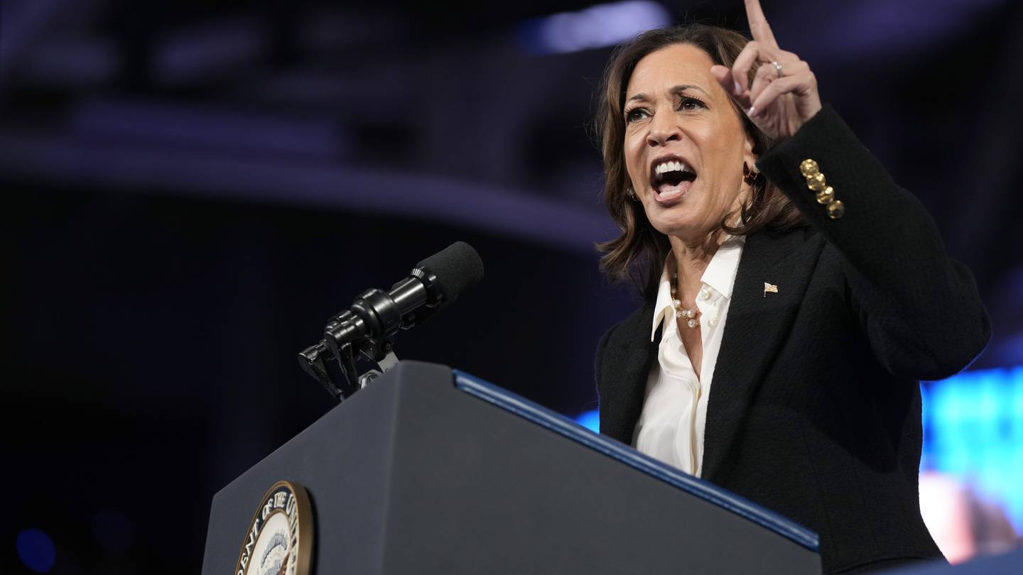 Harris is laying out a new plan to empower Black men as she tries to energize them to vote for her  WSOC TV [Video]