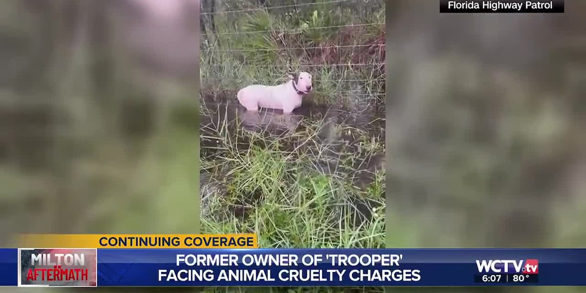 Former owner of Trooper, dog rescued amid Hurricane Milton, facing animal cruelty charges [Video]