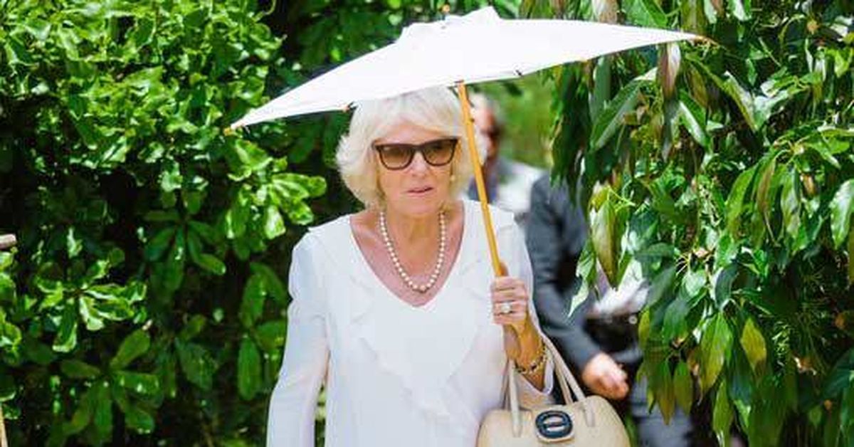 Queen Camilla parasol: A Perth mum and daughter made a parasol fit for a Queen. It changed their lives [Video]