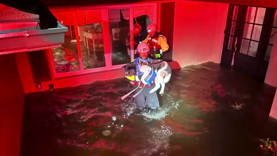 Man, woman and dog rescued by fire crews during Hurricane Milton [Video]