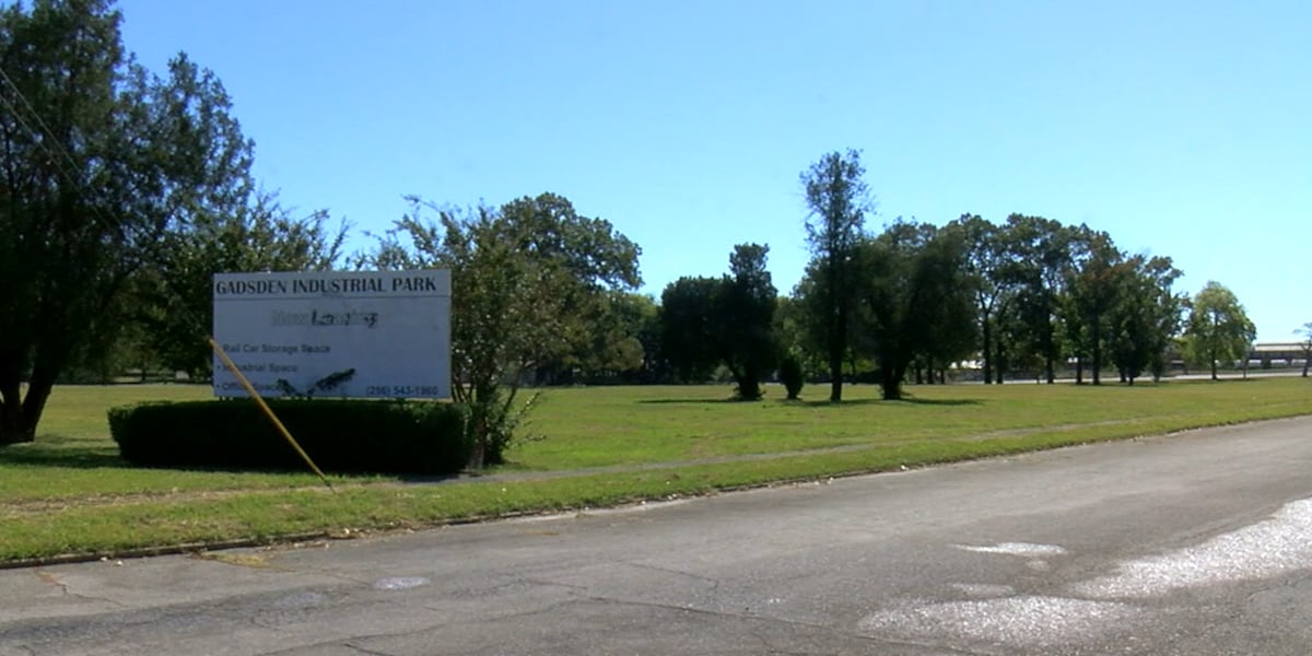 Gadsden awarded grant to establish tree canopy at blighted steel plant property [Video]