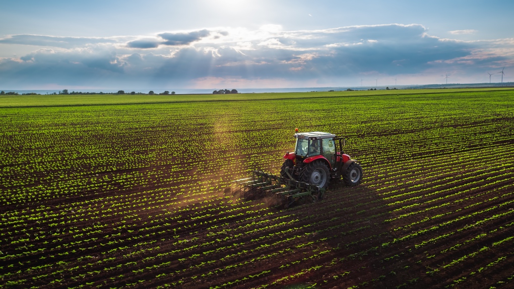 Windsor-Essex works to improve mental health for international agricultural workers [Video]