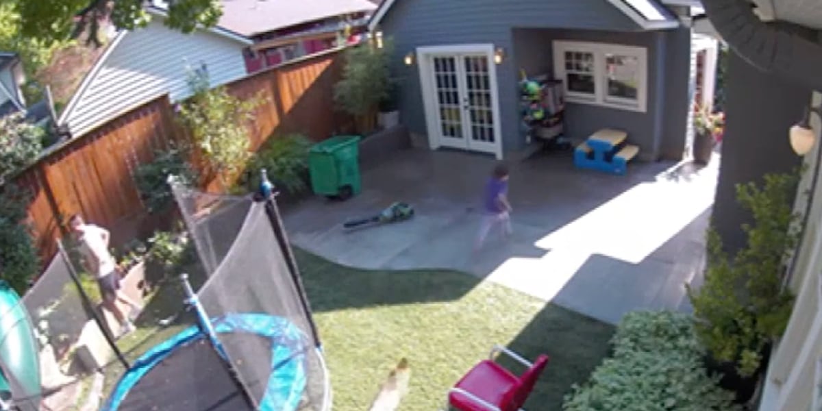 Get inside! Video shows coyote chasing young girl through backyard of home