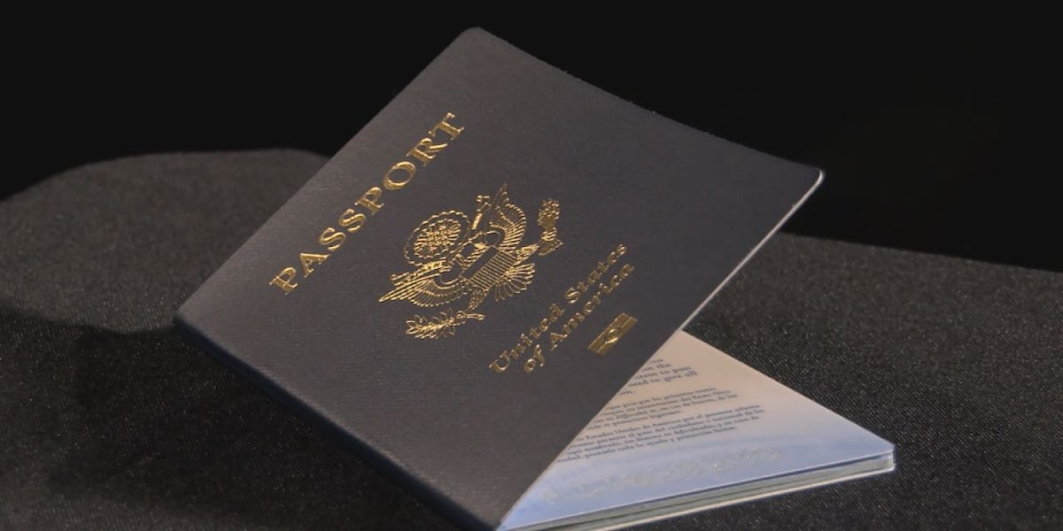 Online portal makes renewing passports easier [Video]