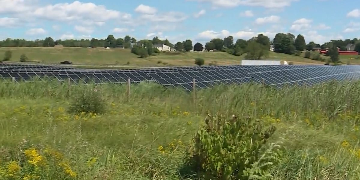 USDA awards energy grants to small businesses and farms [Video]