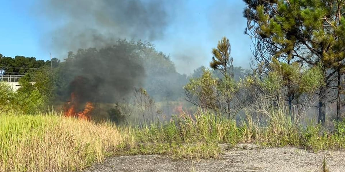 Local fire departments concerned about dry conditions causing brush fires [Video]