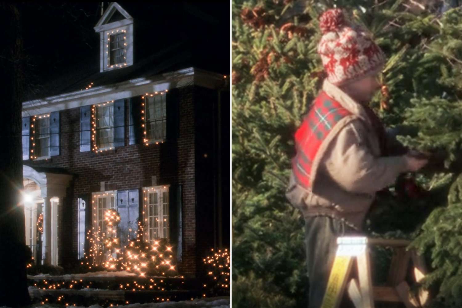 Home Alone House Owners Discover Macaulay Culkin Cut Tree from Backyard (Exclusive) [Video]