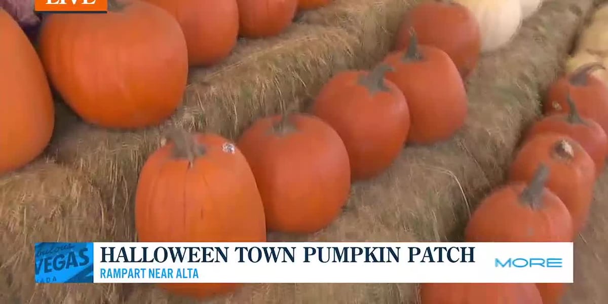 Halloween Town Pumpkin Patch [Video]