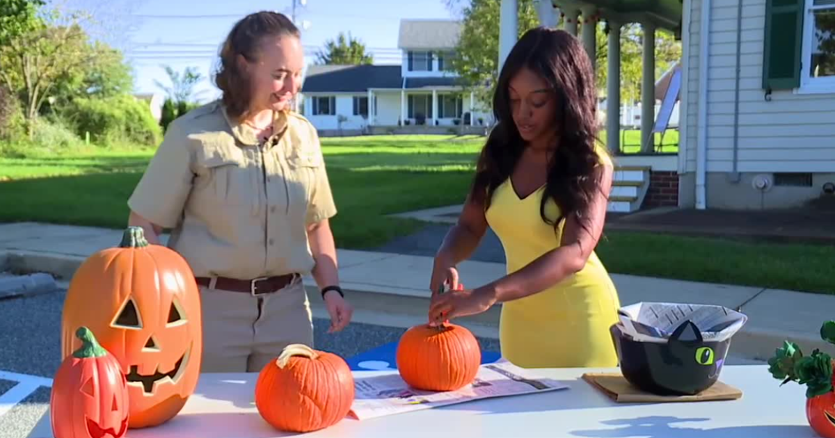 How to carve your pumpkin like a pro this Halloween [Video]