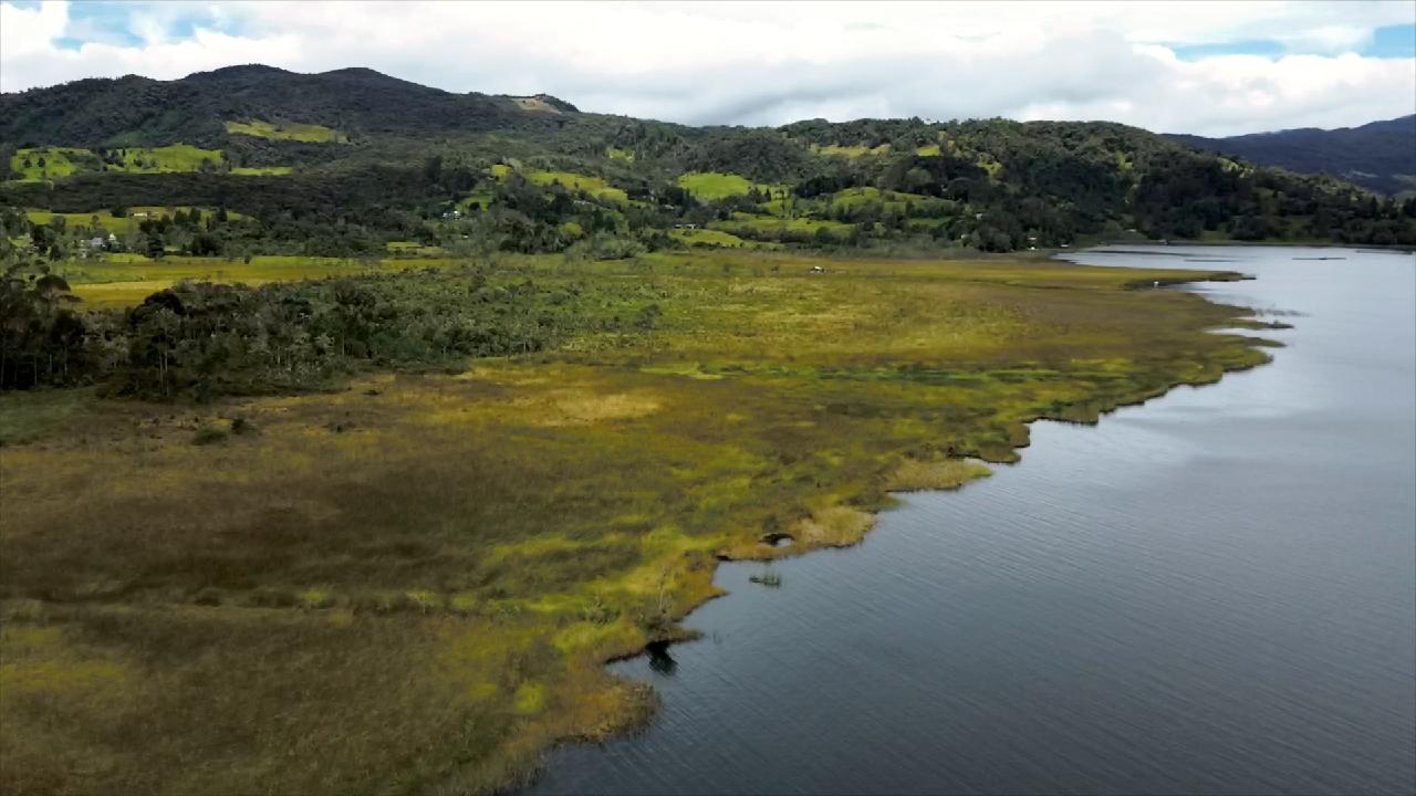 Global environmental finance takes center stage at COP16 [Video]