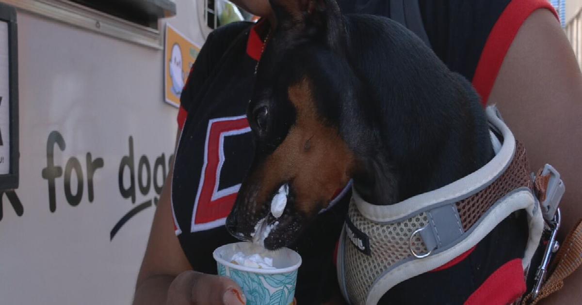 Howl-o-ween fun | NuLu hosts pet-friendly Ghouls and Drools Halloween celebration | Local News [Video]