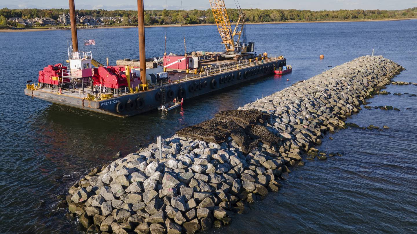 These artificial reefs off a New York City beach help sea creatures. They might also save lives  Boston 25 News [Video]