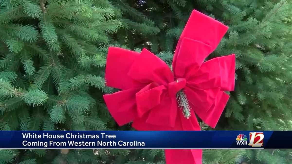 White House Christmas tree coming from Western North Carolina [Video]