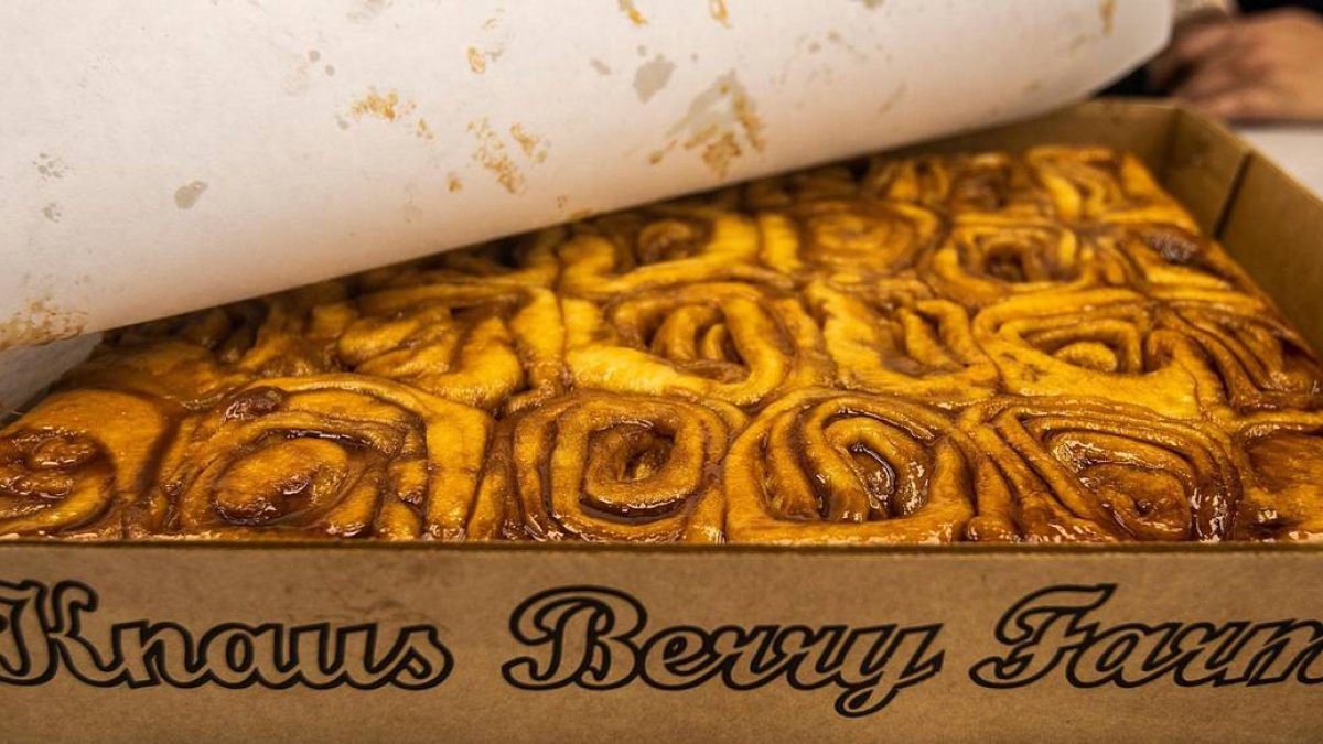 Knaus Berry Farm, home of famed cinnamon buns, reopens  NBC 6 South Florida [Video]