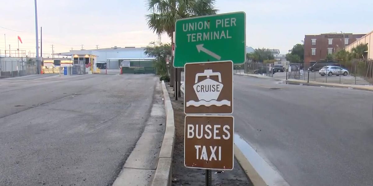 Charleston County expected to decide on Union Pier redevelopment financing plan [Video]