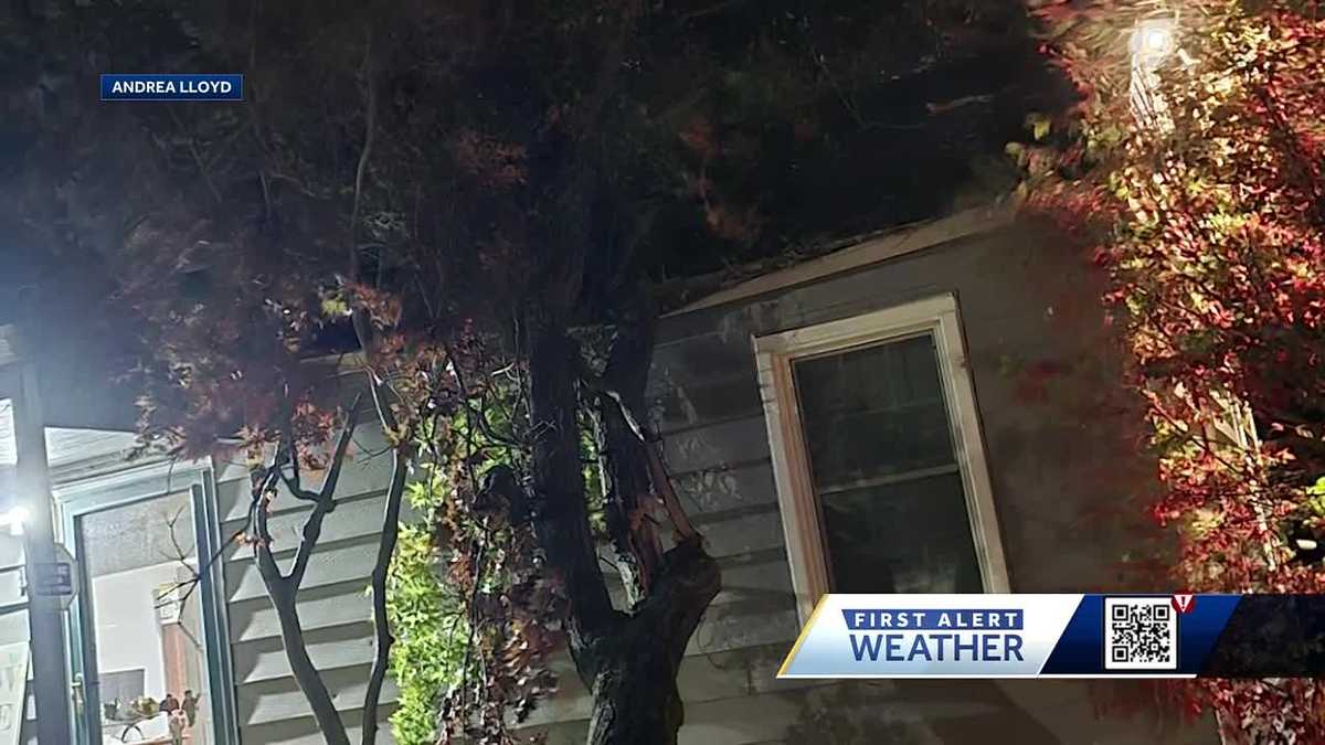 Woman narrowly escapes as tree limb crashes into home [Video]