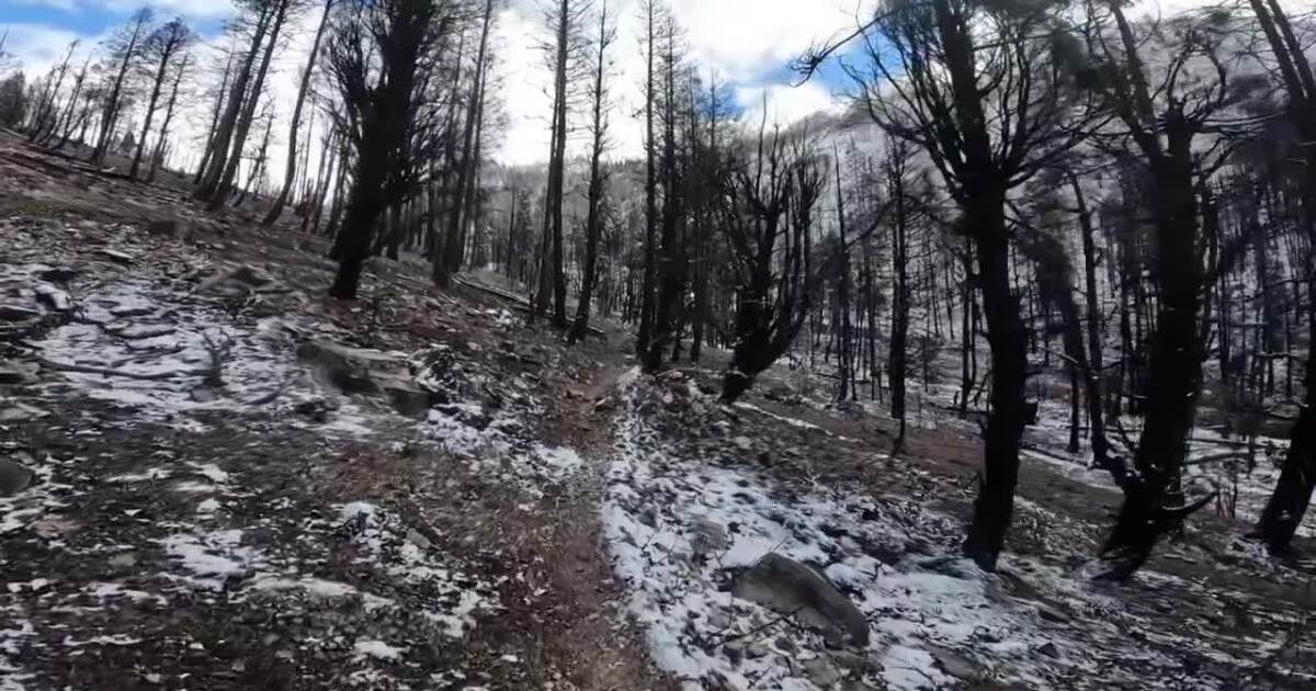 Checking out Grandjean after the Wapiti Fire scorched this landscape [Video]