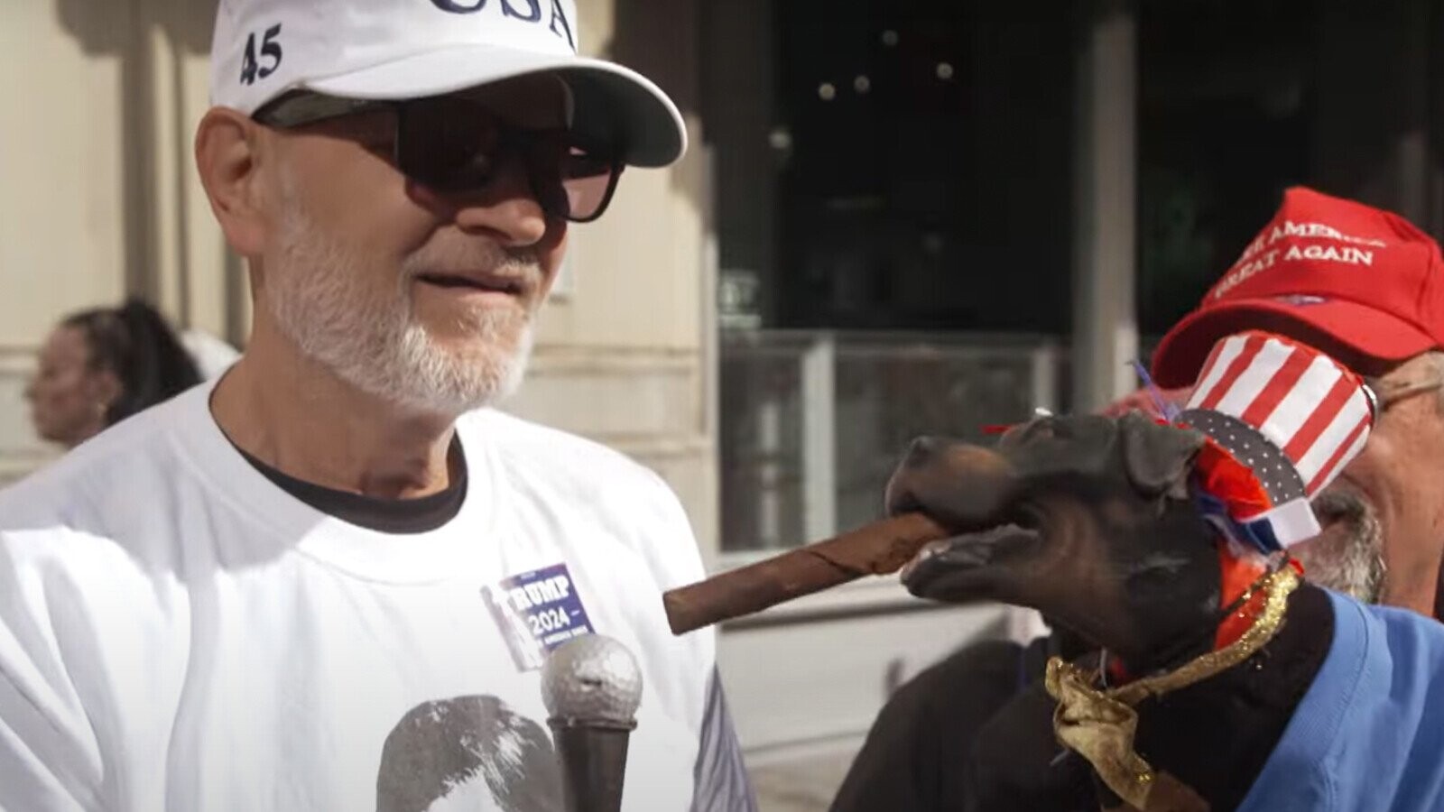 Triumph the Insult Comic Dog May Be the Best Political Correspondent Working Today [Video]