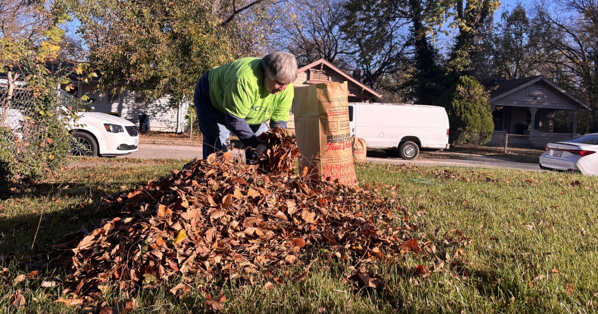 Kansas City senior support seeking volunteers to help rake yards [Video]