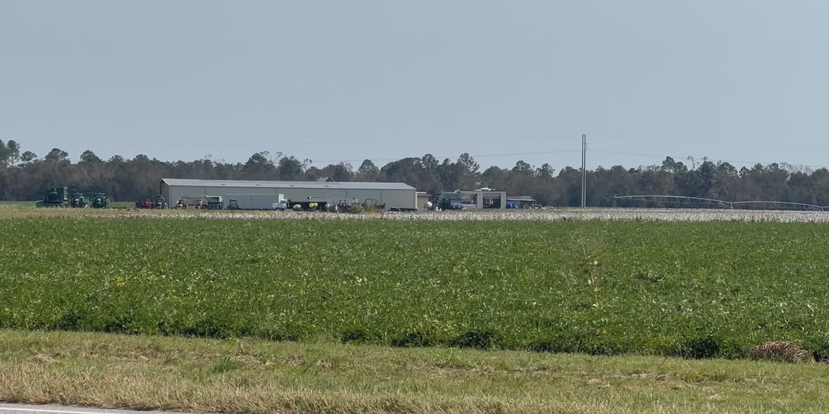 Georgia House approves relief funds for farmers after Hurricane Helene [Video]