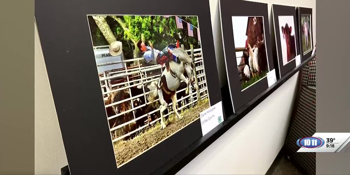 Youth photography skills on display at 4-H Photography Showcase [Video]