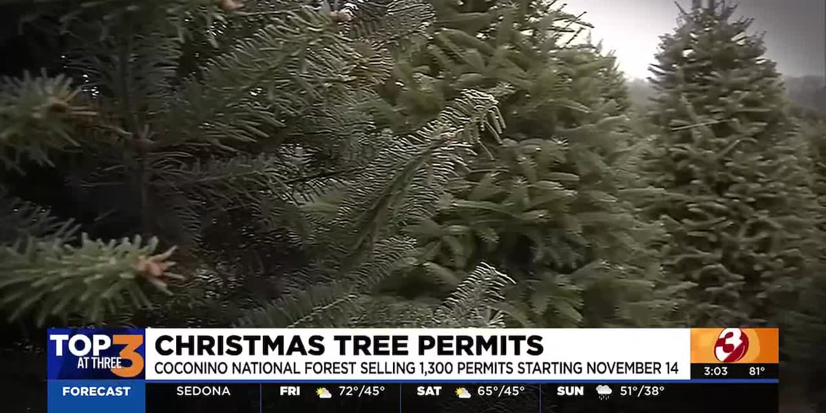 Coconino NF selling limited number of Christmas tree permits [Video]