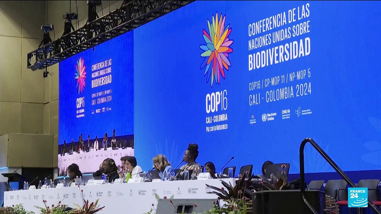 UN biodiversity preservation talks end without [Video]