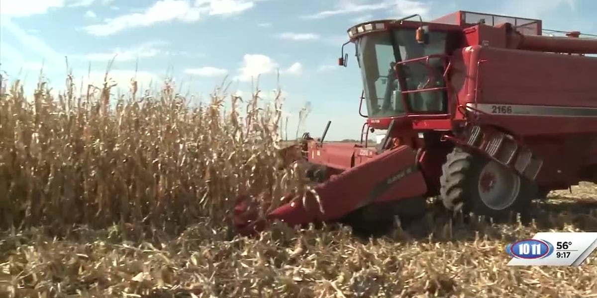 Nebraska Corn Board shares about research, outreach [Video]