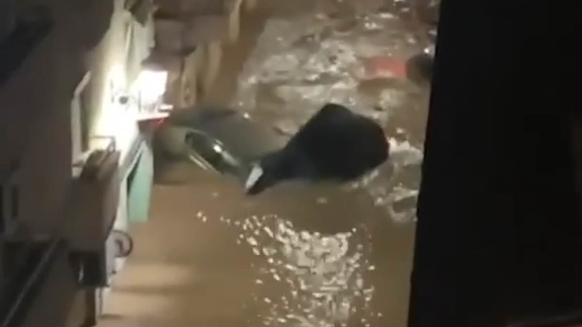 Brit caught up in Valencia floods describes horrifying final screams of his neighbours before they died in ‘urban river’ [Video]