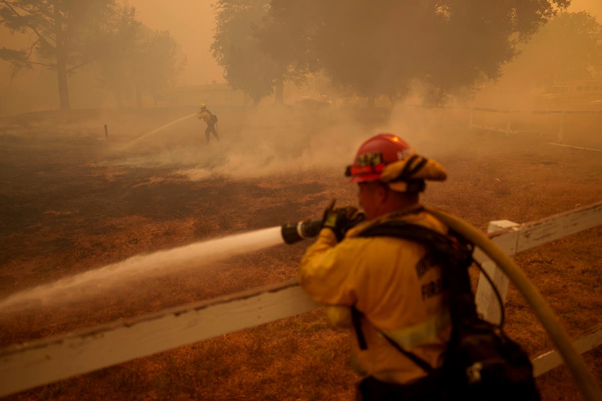 Republicans blame California for wildfires  and ignore the role of the fossil fuel companies funding them [Video]