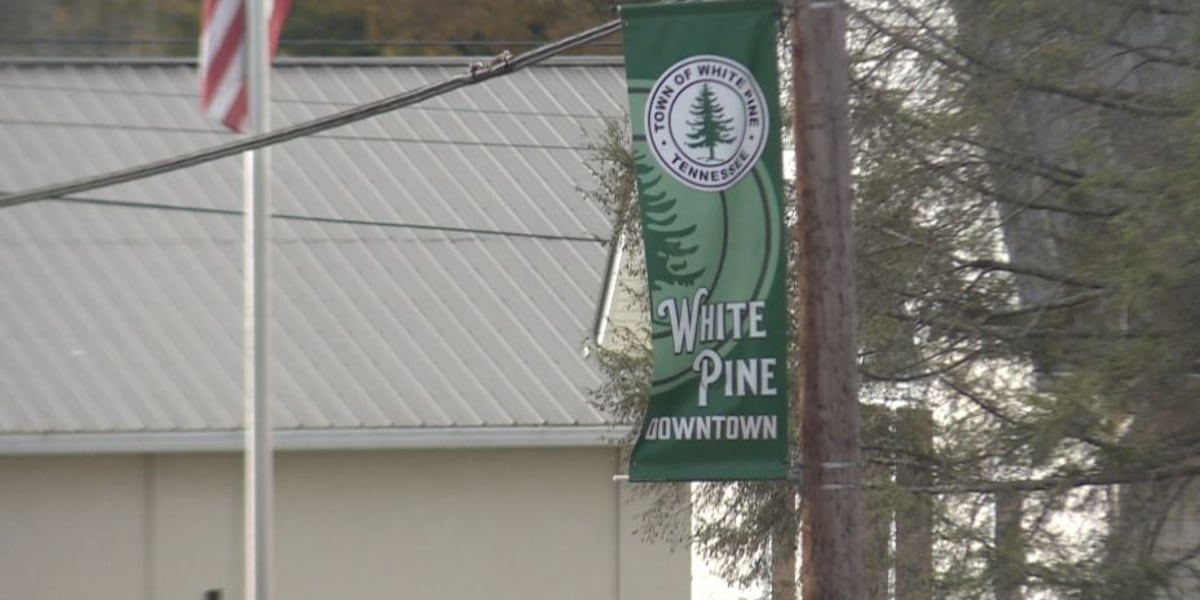 White Pine referendum passes to allow liquor stores within city limits [Video]