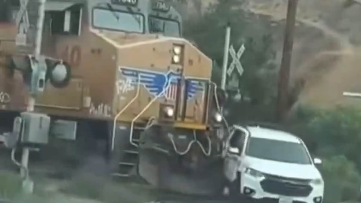 Incredible moment hero cop saves child from oncoming train with seconds to spare [Video]