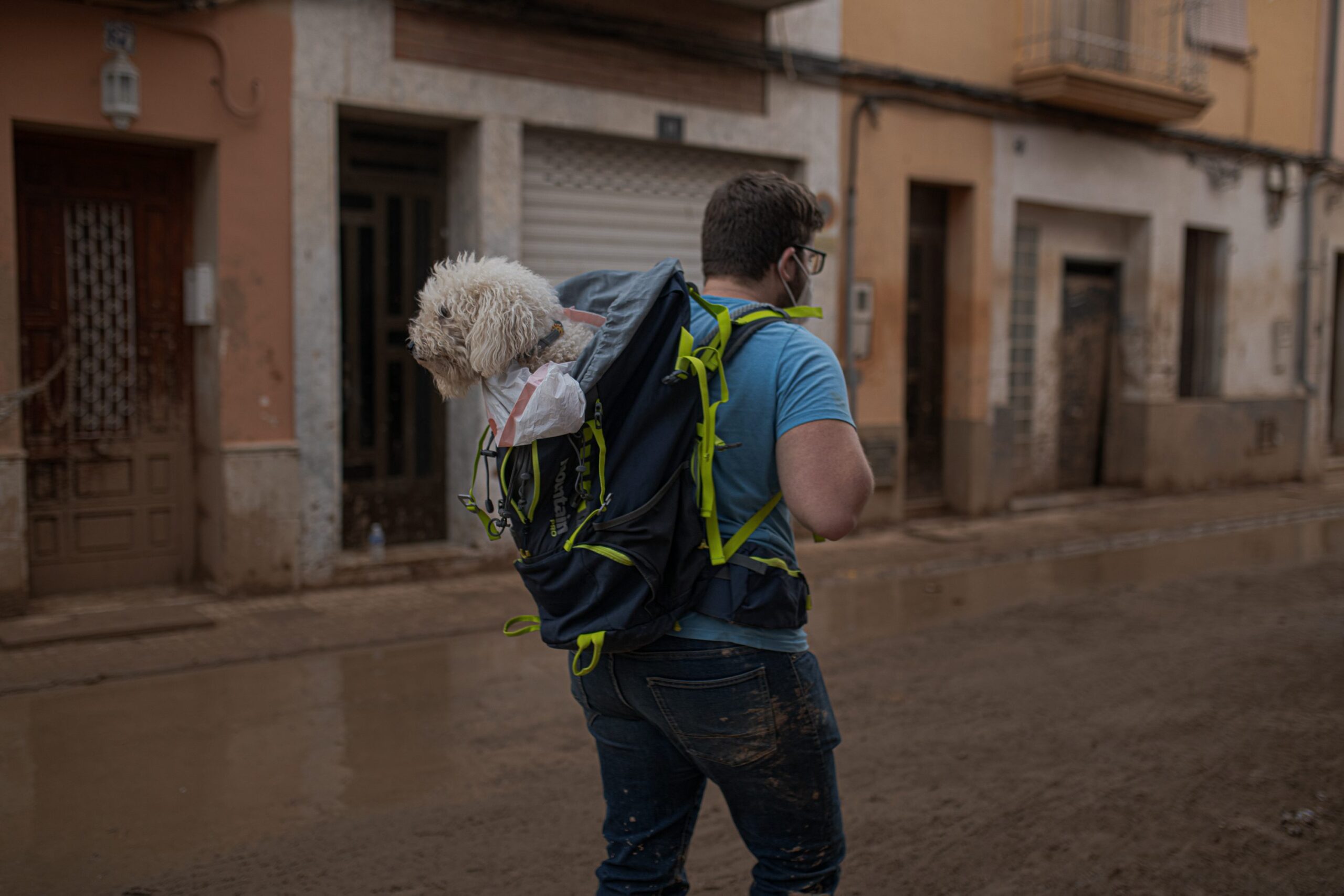 How volunteer vets and animal experts in flood-hit Valencia are treating pets and trying to reunite them with their heart-broken owners [Video]