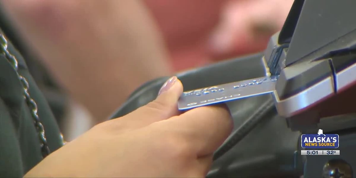 Skimming Scam Warning: U.S. Secret Service warns Alaskans not to fall victim [Video]