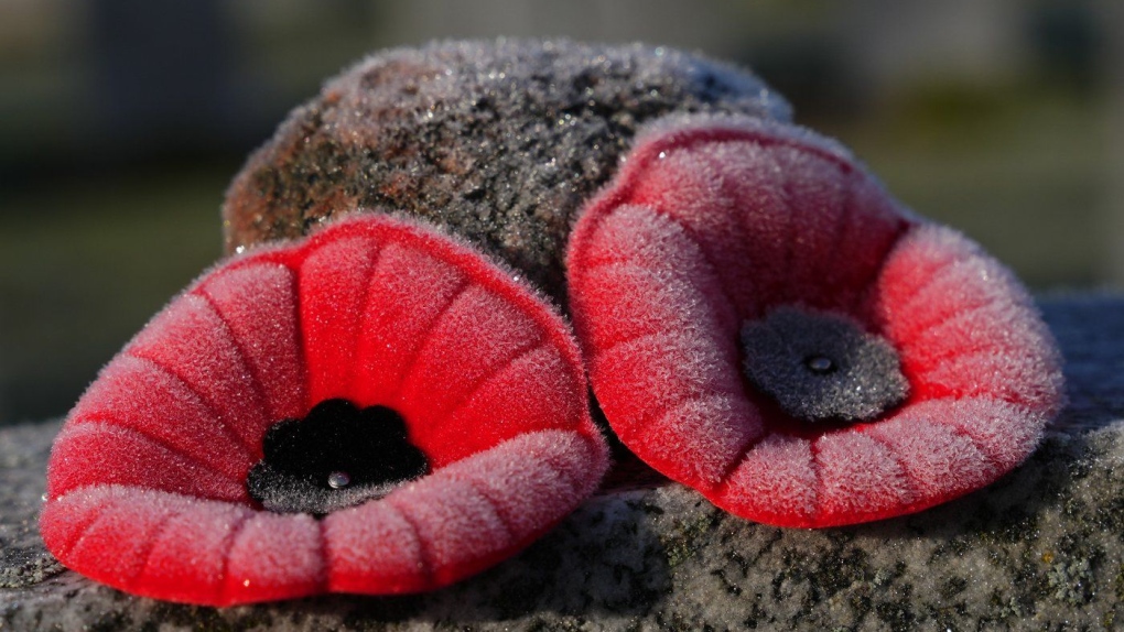 Remembrance Day: Legion turns to Amazon for poppy campaign help [Video]