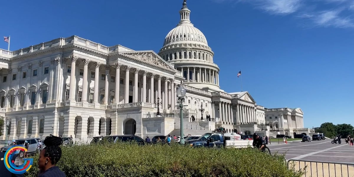 119th congress welcomes freshman lawmakers [Video]