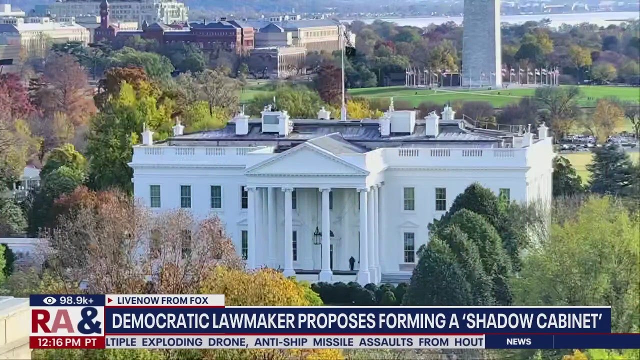 Shadow cabinet: Democratic lawmaker proposes idea [Video]